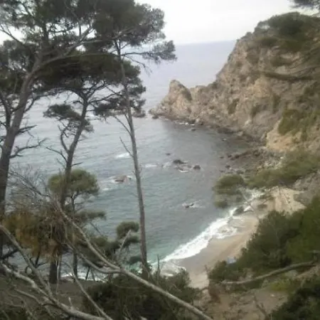 Appartement L'helios Six-Fours-les-Plages
